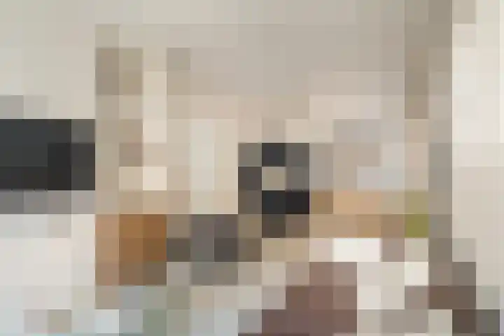 Schietbaanlaan 64 B Rotterdam thumbnail 8