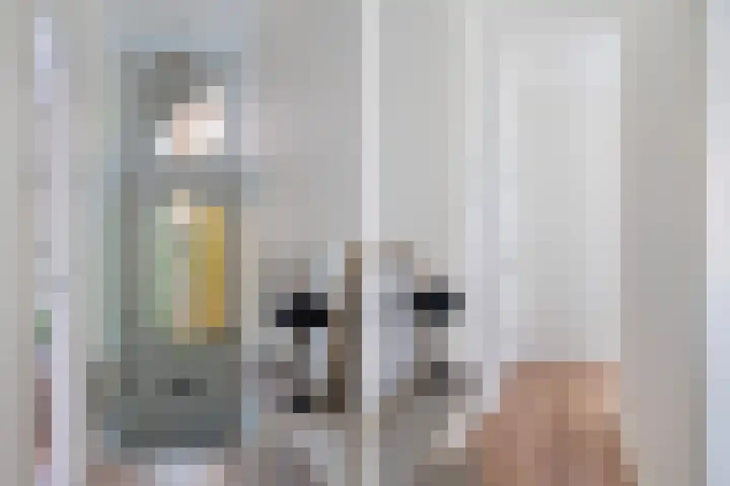 Schietbaanlaan 72 C Rotterdam thumbnail 5