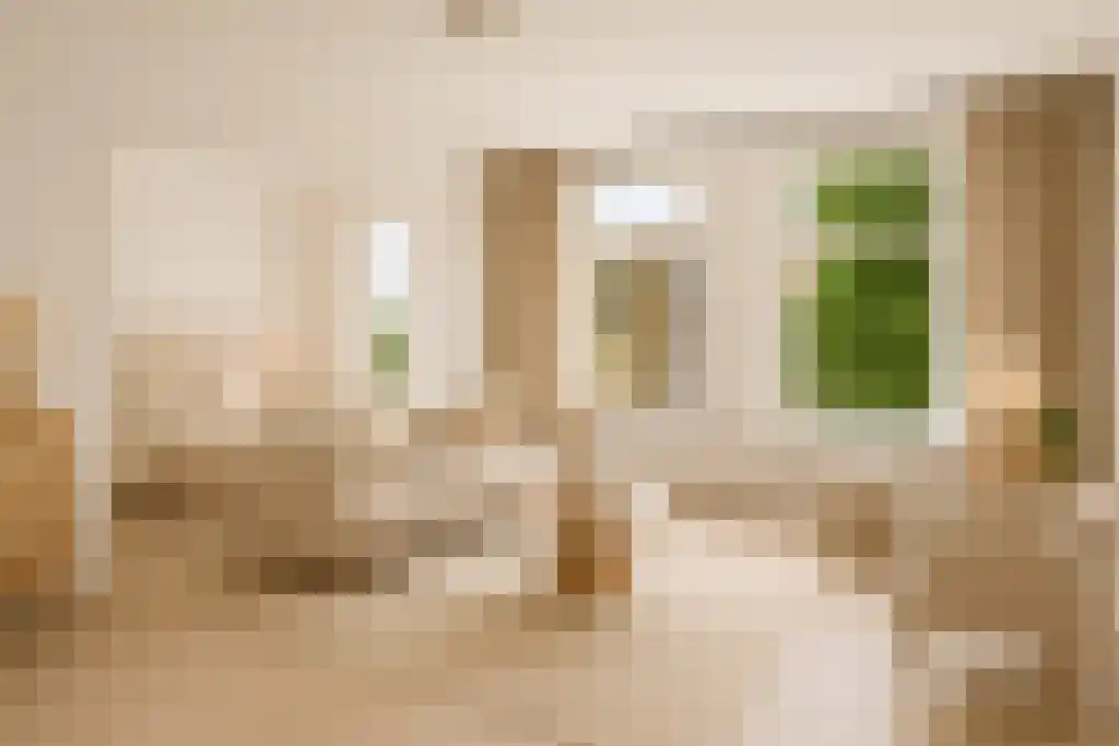 Schietbaanlaan 74 E Rotterdam thumbnail 7