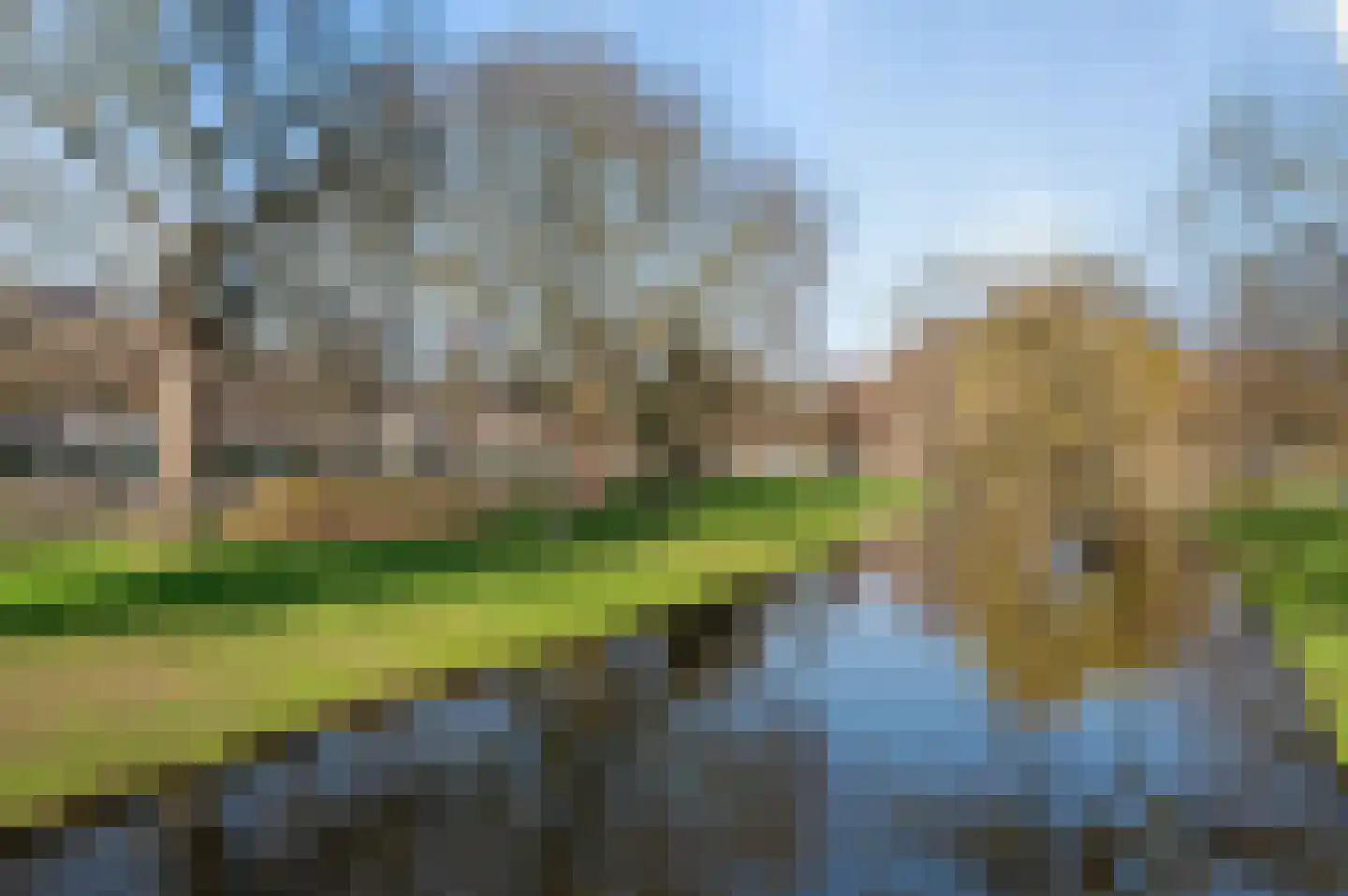 Schietbaanlaan 91 A Rotterdam thumbnail 44