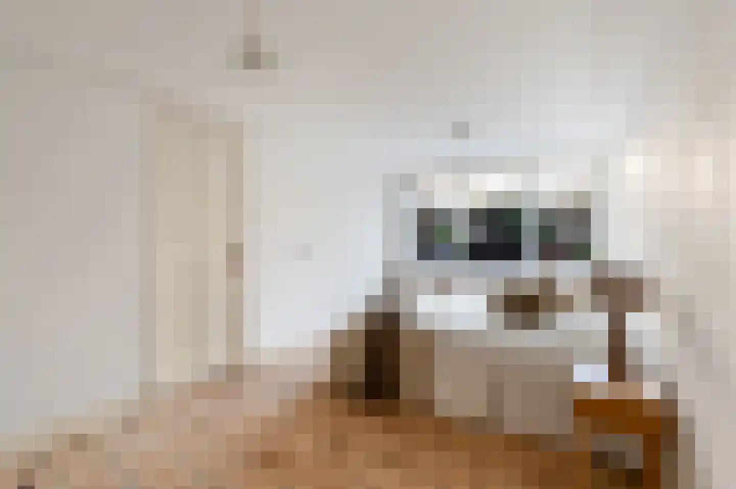 Schietbaanlaan 91 B Rotterdam thumbnail 32