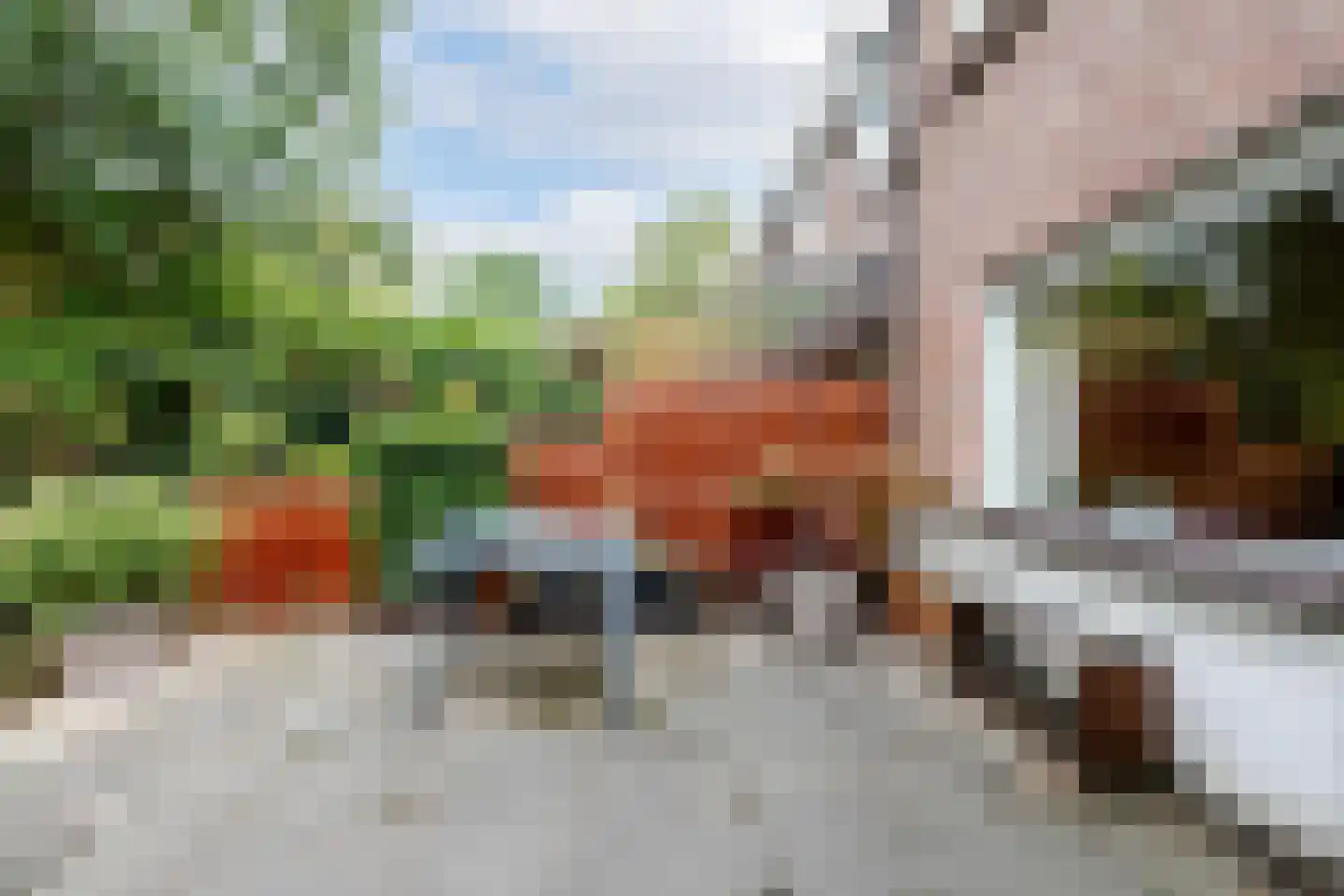 Schietbaanstraat 18 Schiedam thumbnail 19