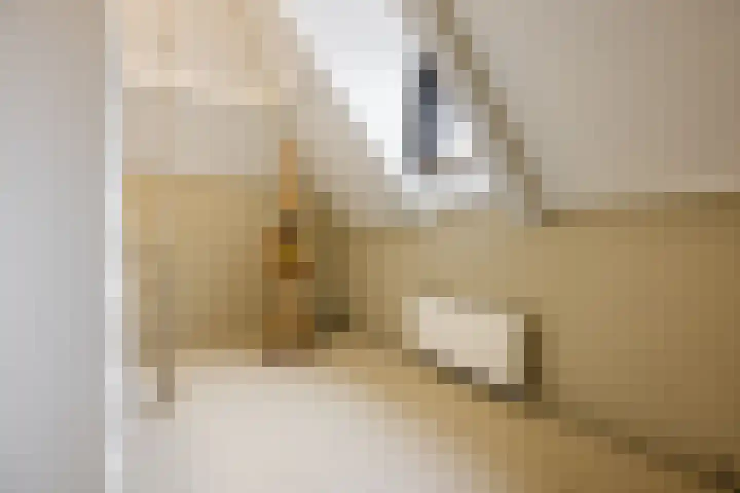 Schietbaanstraat 6 A Rotterdam thumbnail 31