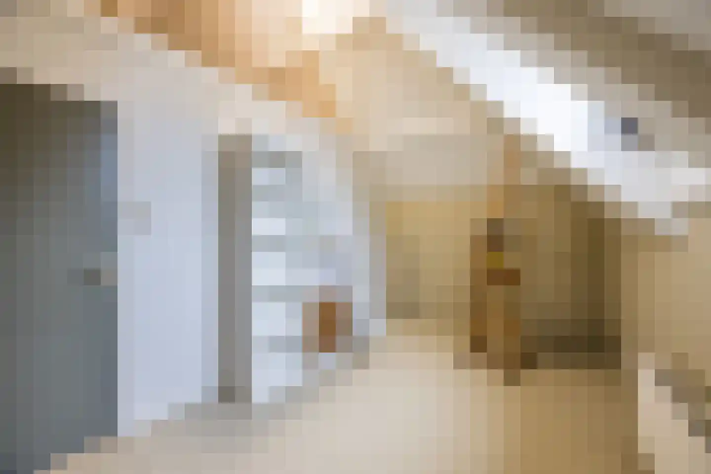 Schietbaanstraat 6 A Rotterdam thumbnail 5