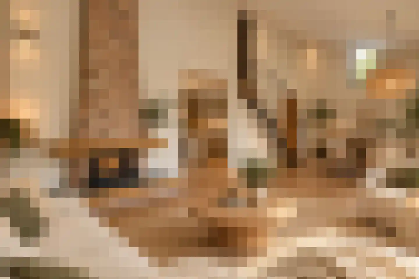 Schietbaanweg 147 Enschede thumbnail 4