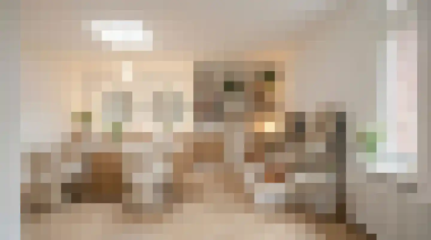 Schietbaanweg 16 Enschede thumbnail 31