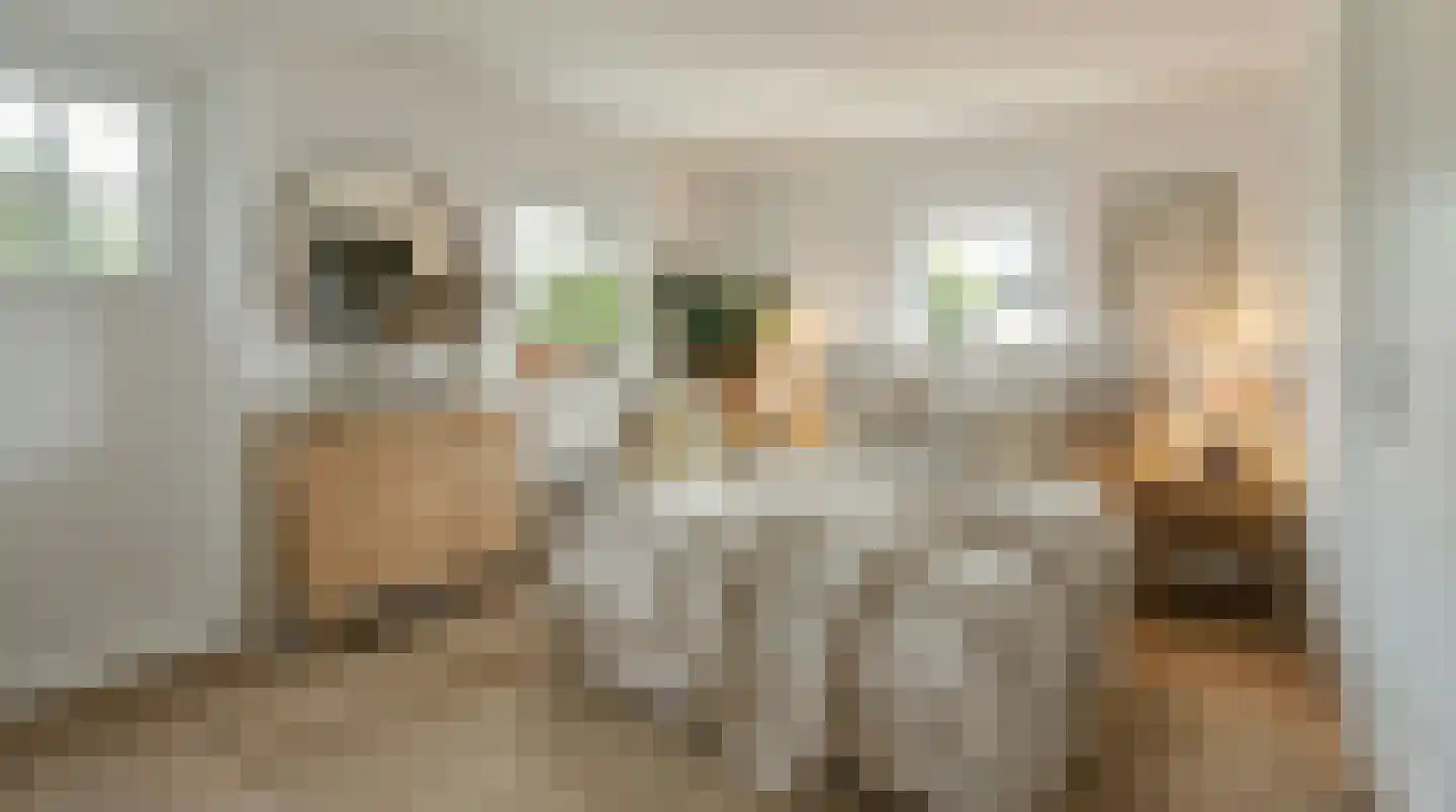 Schietbaanweg 16 Enschede thumbnail 35