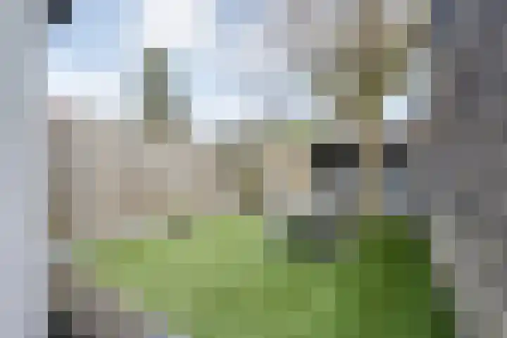 Schietbaanweg 2 Enschede thumbnail 32