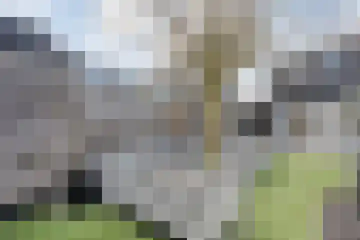 Schietbaanweg 2 Enschede thumbnail 34