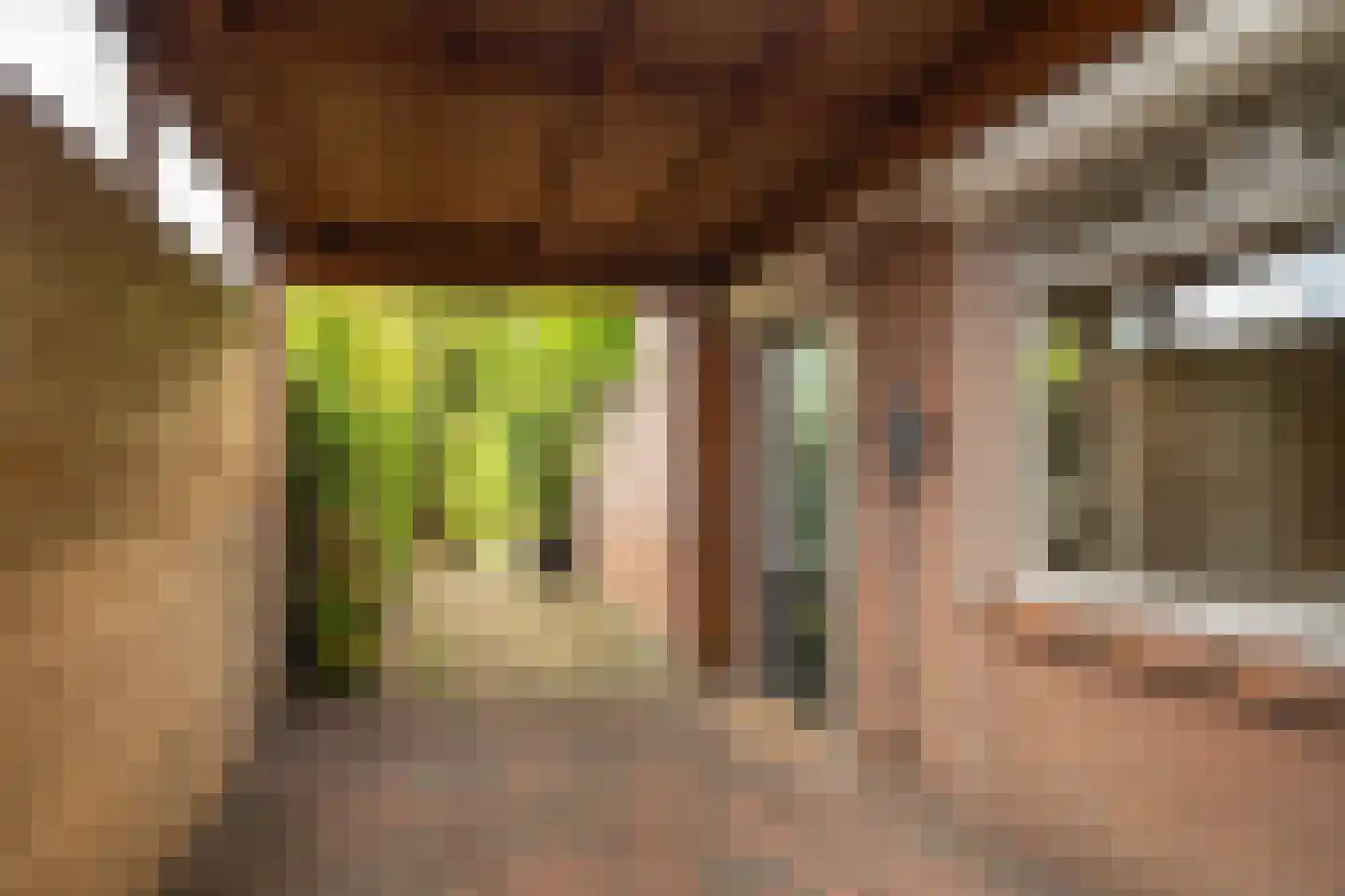 Schietbaanweg 37 Enschede thumbnail 31