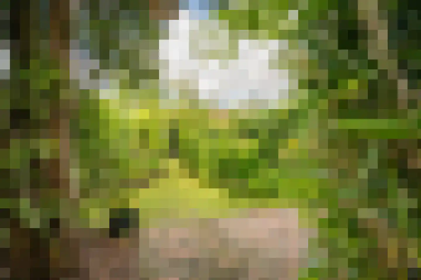 Schietbaanweg 37 Enschede thumbnail 33
