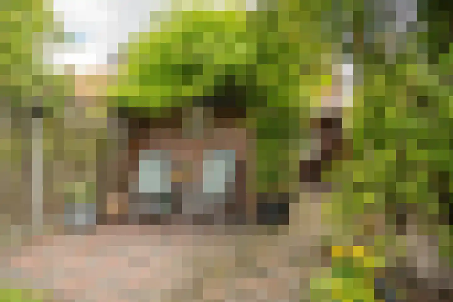 Schietbaanweg 37 Enschede thumbnail 34