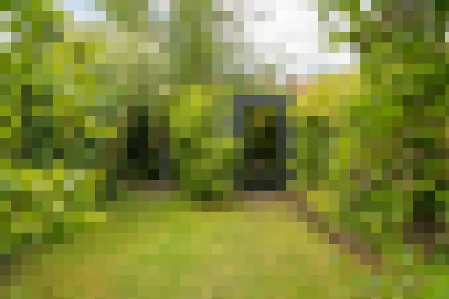 Schietbaanweg 37 Enschede thumbnail 35