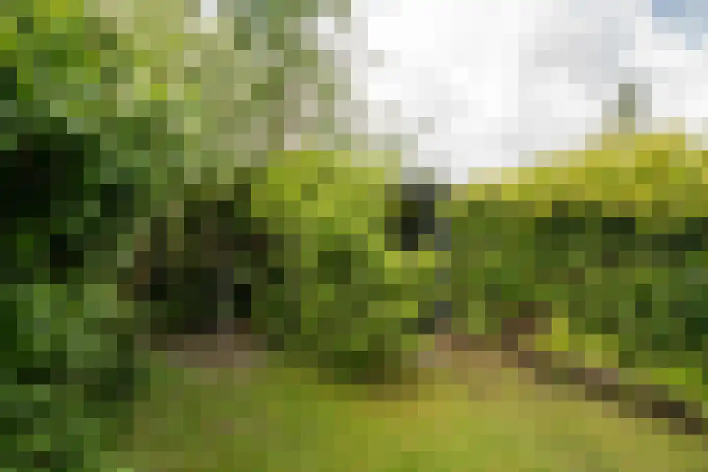 Schietbaanweg 37 Enschede thumbnail 36