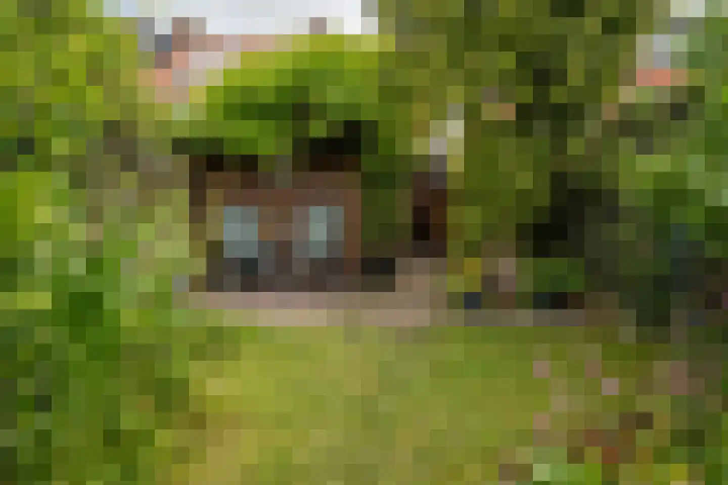 Schietbaanweg 37 Enschede thumbnail 39