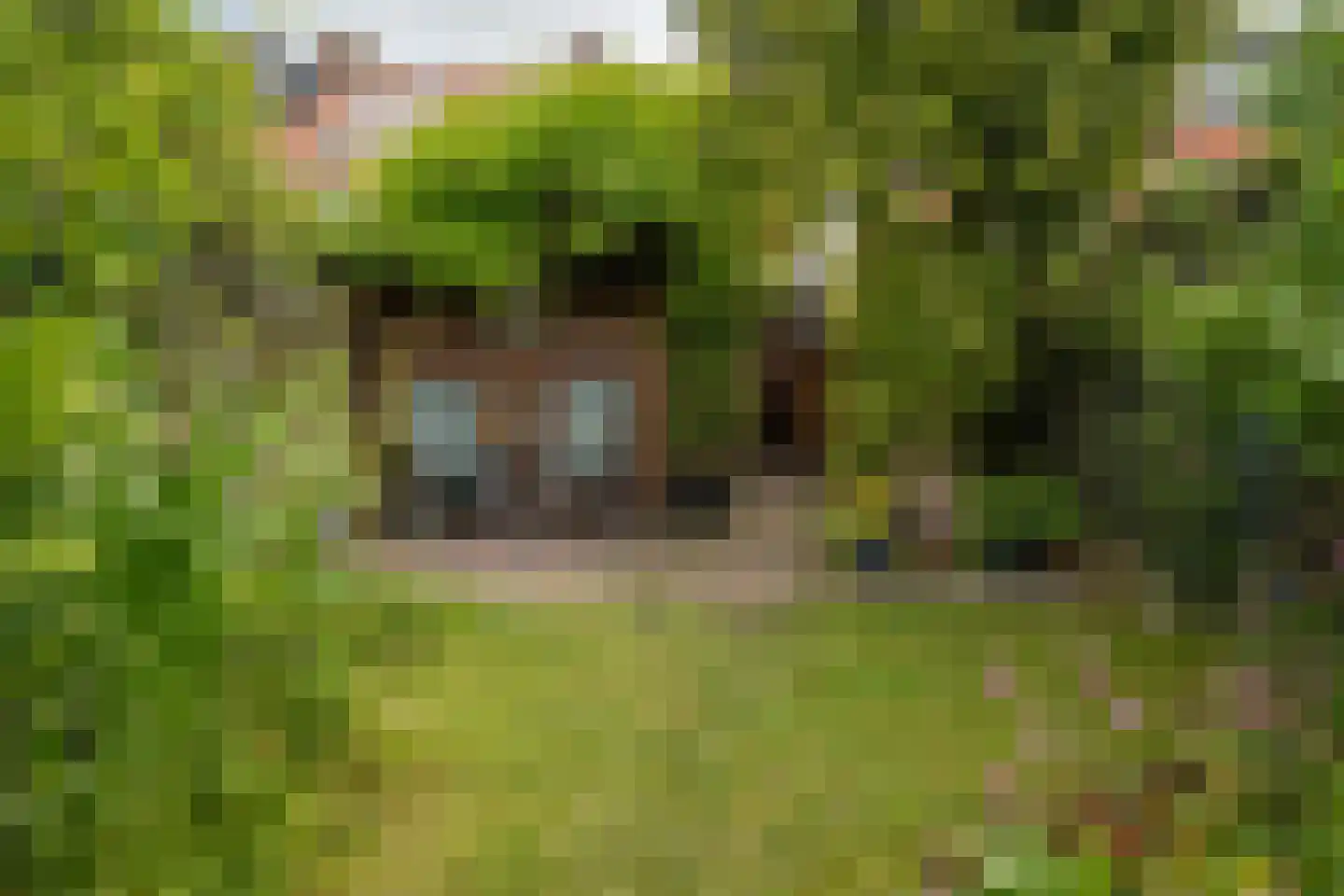 Schietbaanweg 37 Enschede thumbnail 4