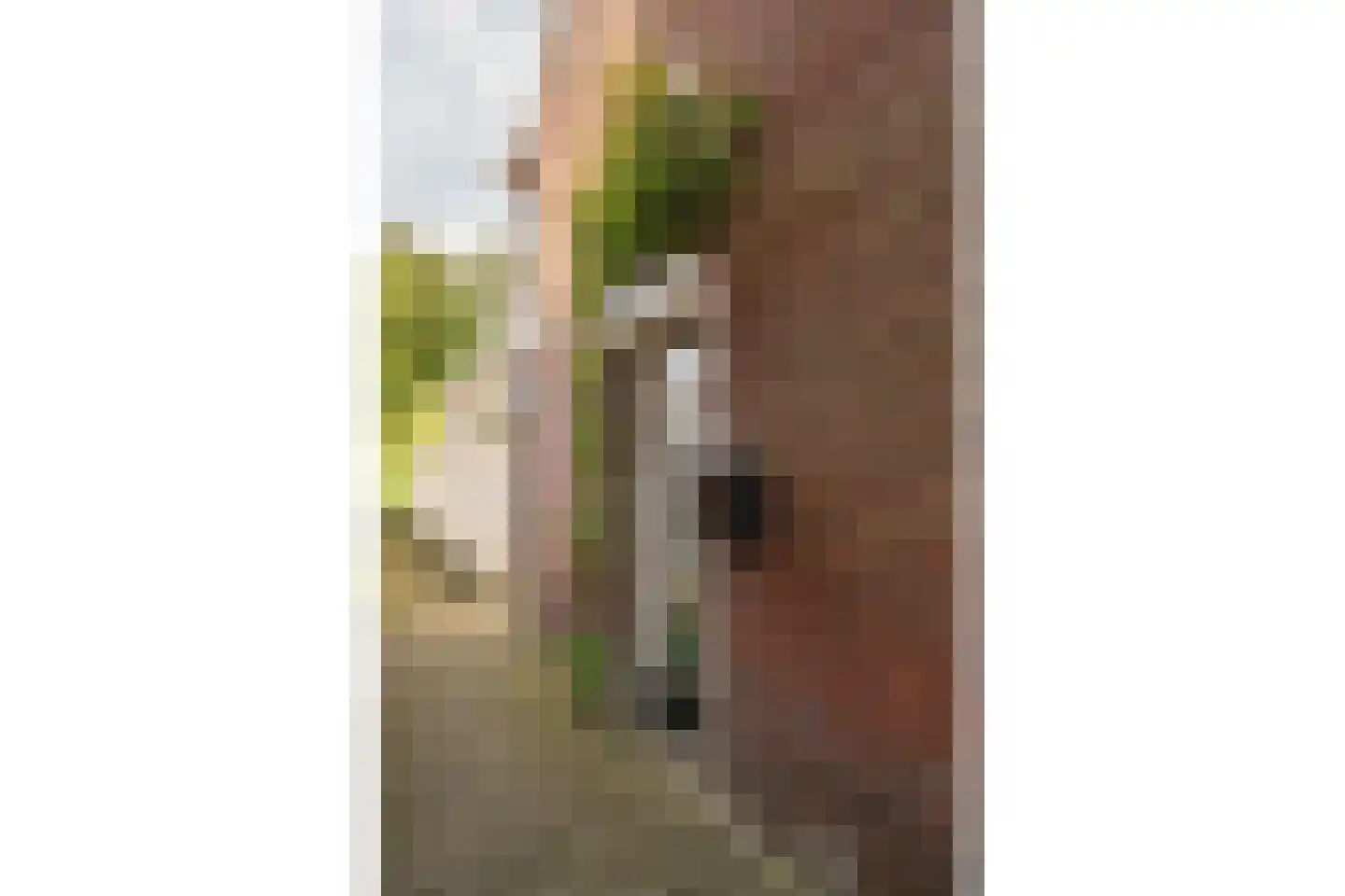Schietbaanweg 37 Enschede thumbnail 7