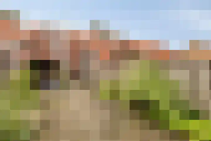 Schietbaanweg 65 Enschede thumbnail 39