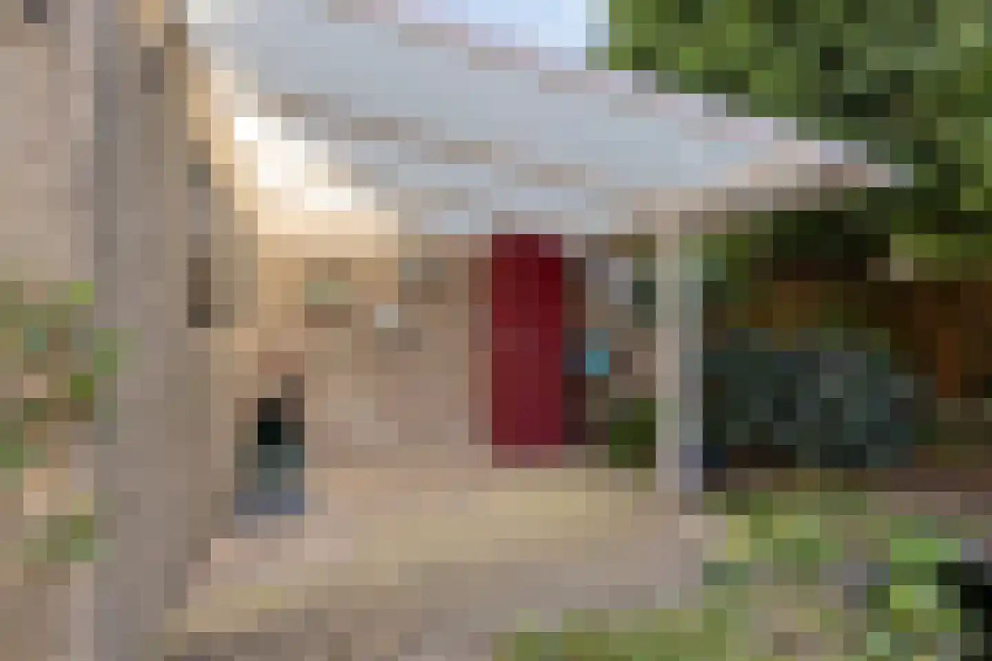 Schietberg 5 Milsbeek thumbnail 48