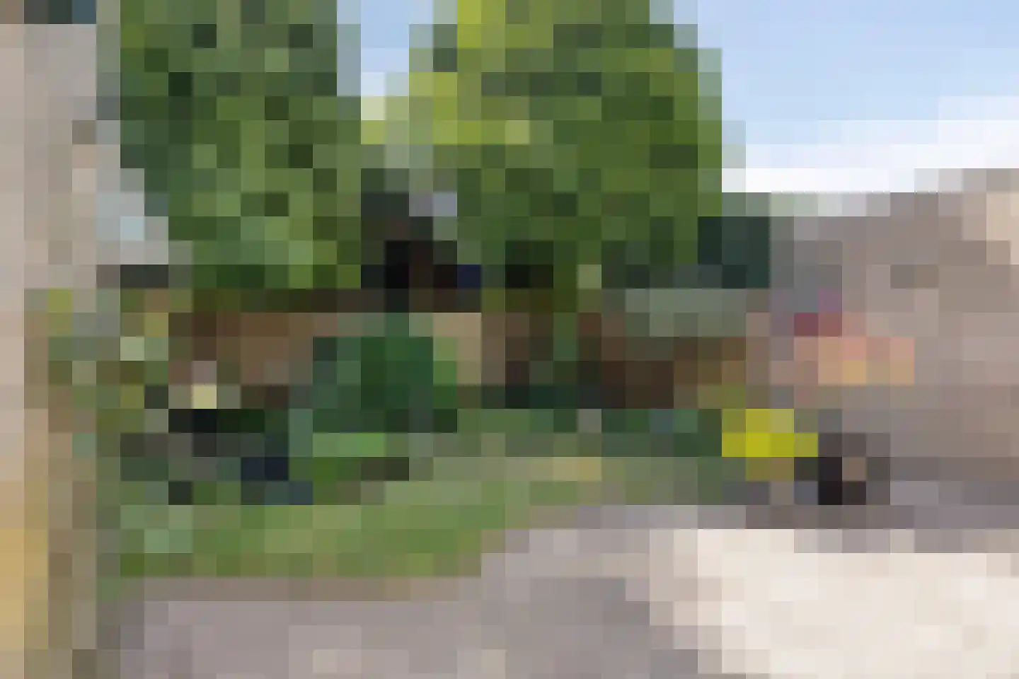 Schietberg 5 Milsbeek thumbnail 6
