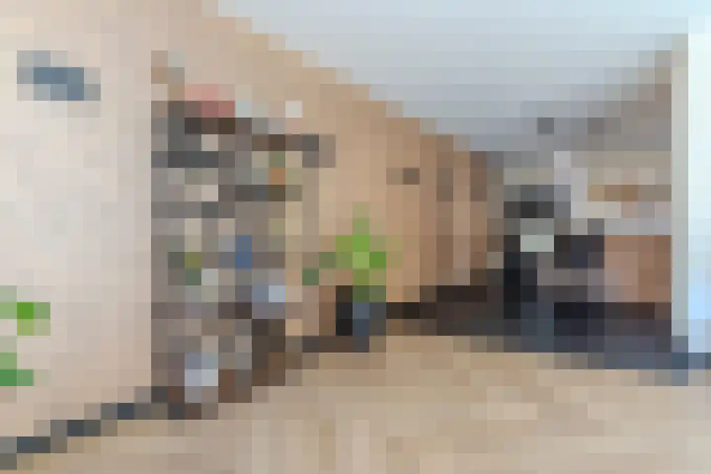 Schietbergen 23 Nuenen thumbnail 12