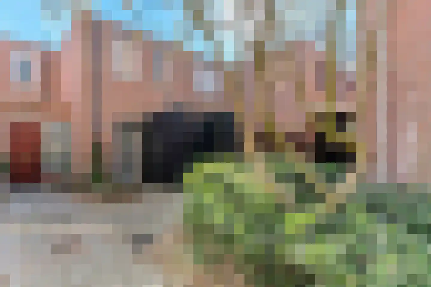 Schietbergen 23 Nuenen thumbnail 5