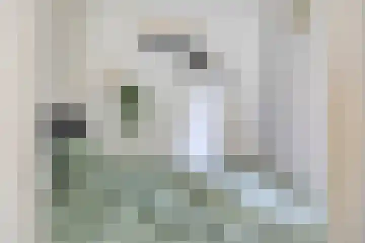 Schietbergen 28 Nuenen thumbnail 12