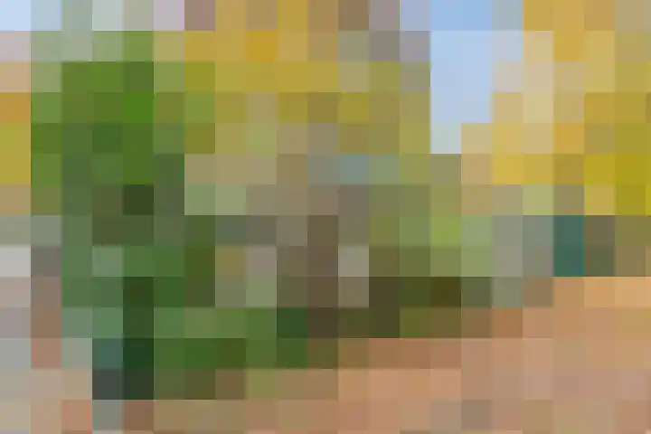 Schietbergen 28 Nuenen thumbnail 15