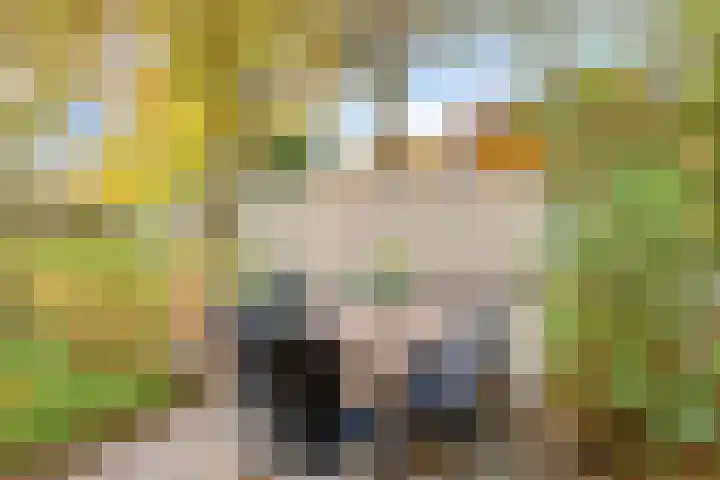 Schietbergen 28 Nuenen thumbnail 18