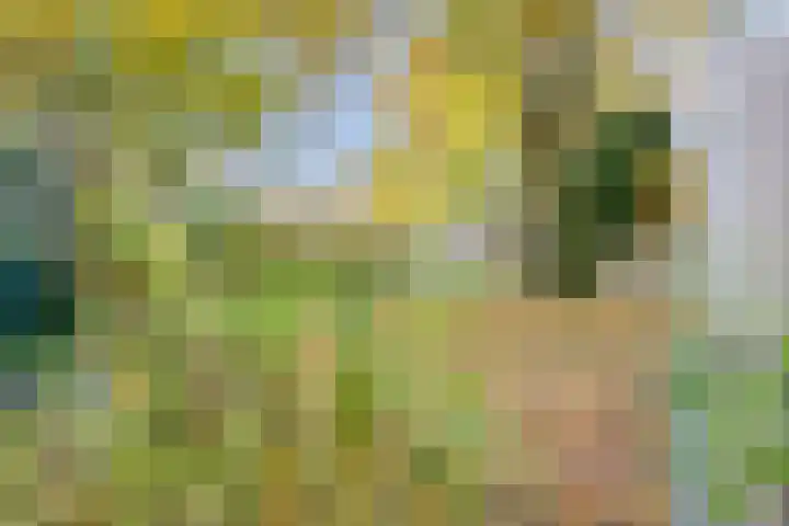 Schietbergen 28 Nuenen thumbnail 20