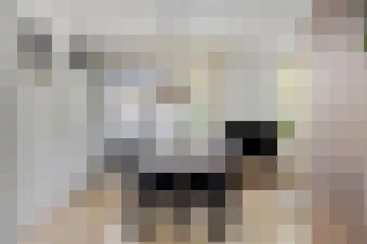 Schietbergen 28 Nuenen thumbnail 4