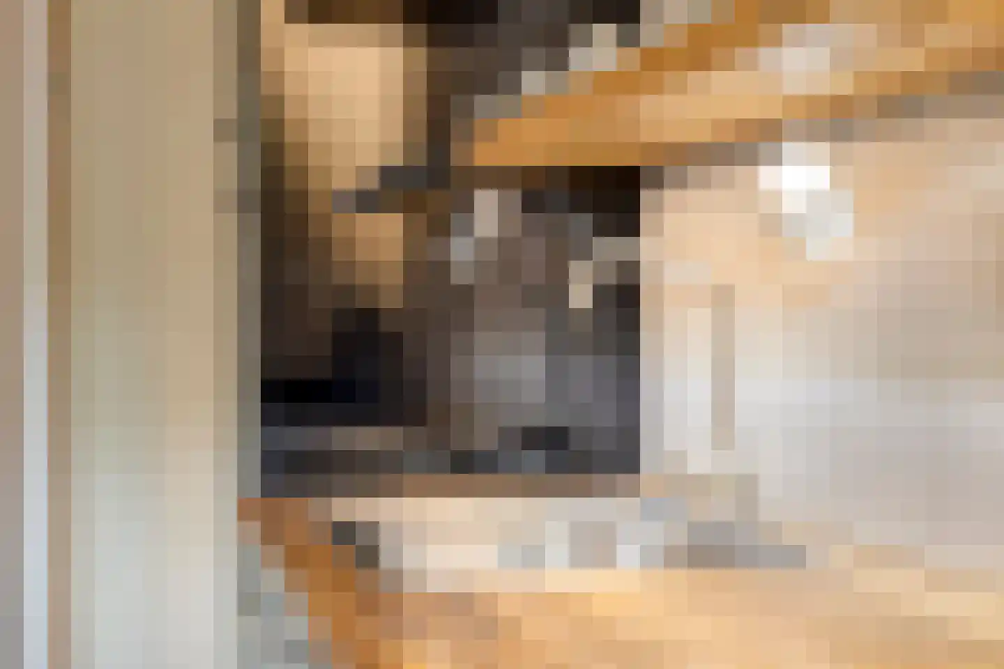 Schietbergen 3 Nuenen thumbnail 21