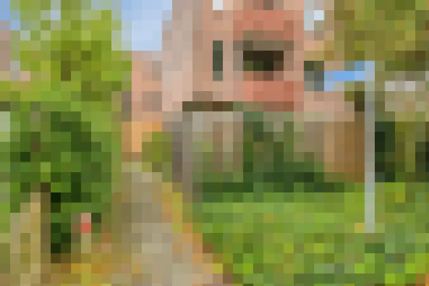 Schietbergen 3 Nuenen thumbnail 28