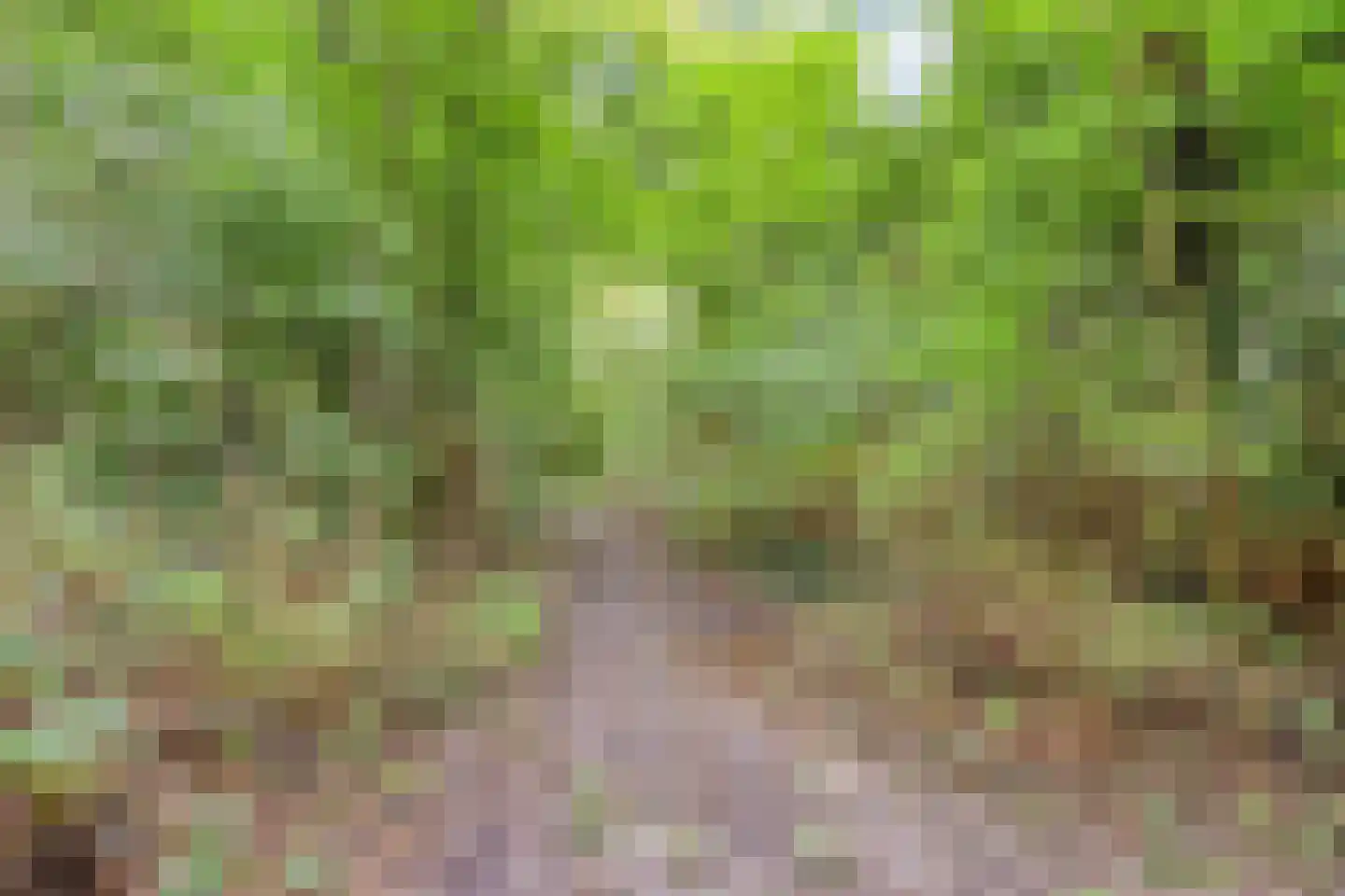 Schietbergen 3 Nuenen thumbnail 30