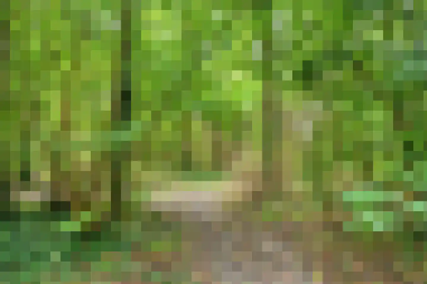 Schietbergen 3 Nuenen thumbnail 31