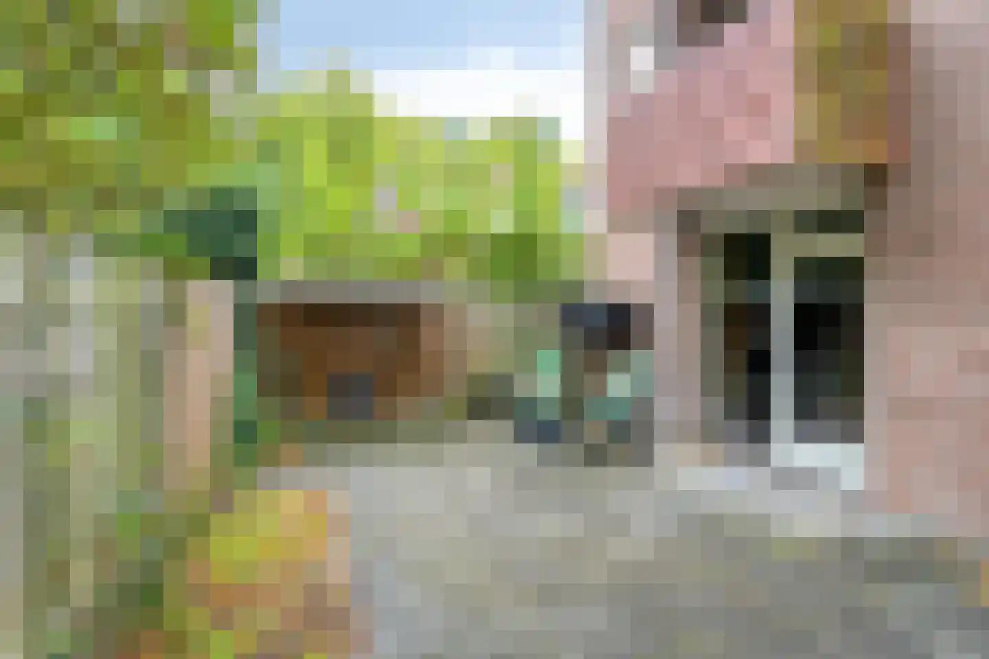 Schietbergen 3 Nuenen thumbnail 5
