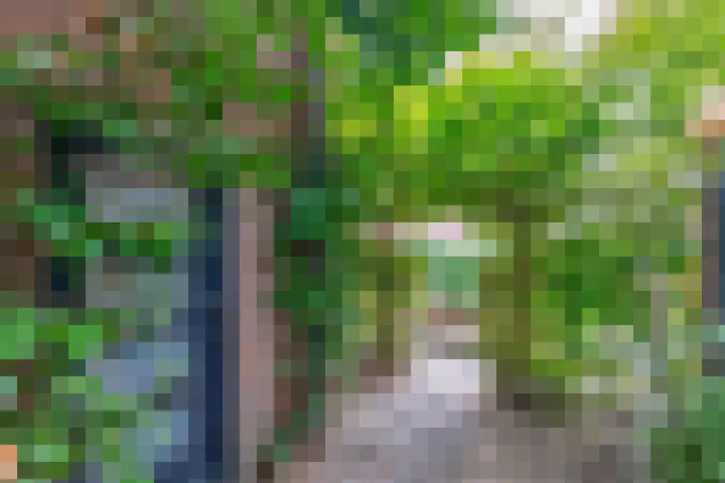 Schietbergen 31 Nuenen thumbnail 13