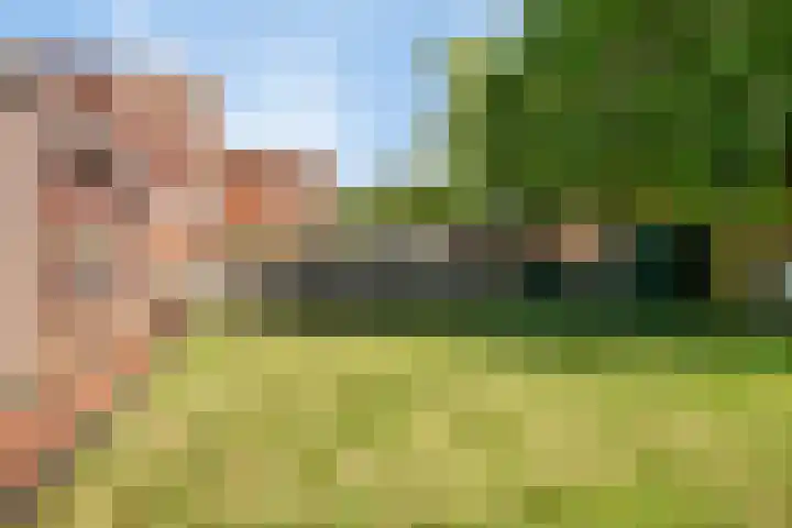 Schietbergen 56 Nuenen thumbnail 28