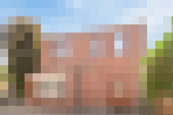 Schietbergen 56 Nuenen thumbnail 5