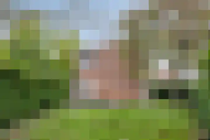 Schietbergen 62 Nuenen thumbnail 22