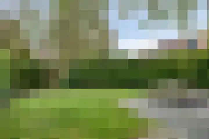 Schietbergen 62 Nuenen thumbnail 23