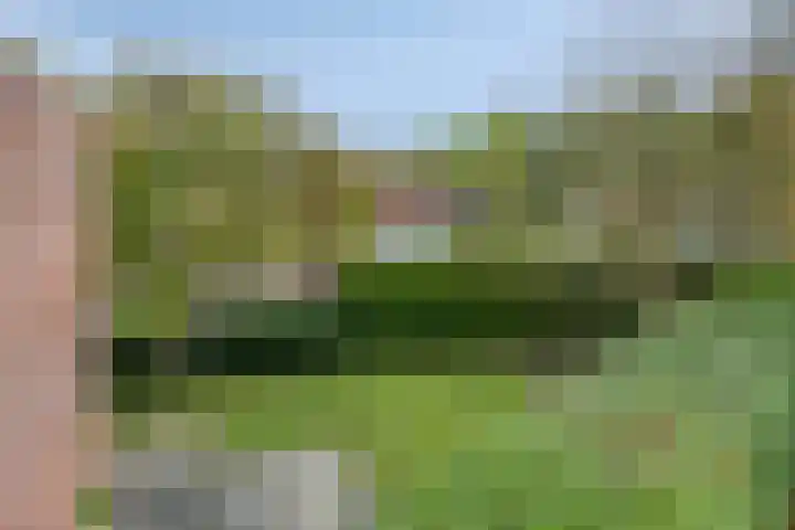 Schietbergen 62 Nuenen thumbnail 24