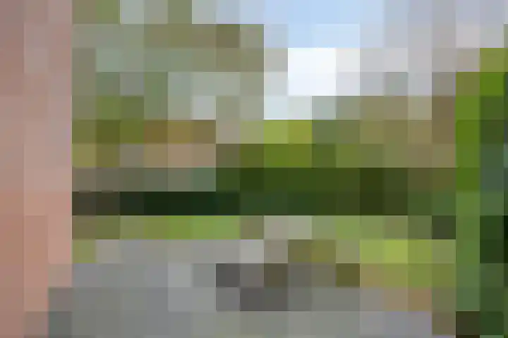 Schietbergen 62 Nuenen thumbnail 25