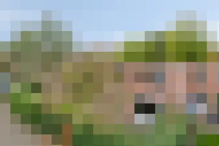 Schietbergen 62 Nuenen thumbnail 26