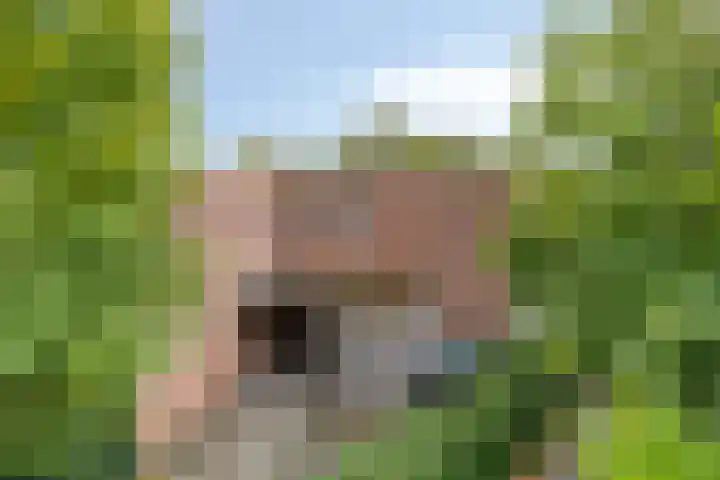 Schietbergen 62 Nuenen thumbnail 27