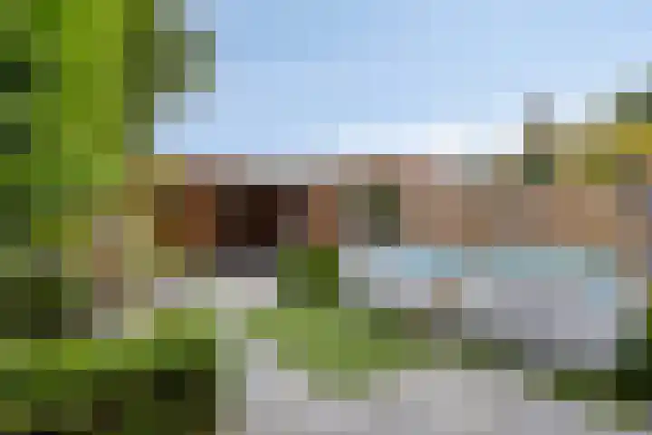 Schietbergen 72 Nuenen thumbnail 29