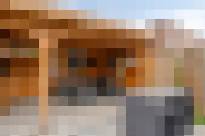 Schietbergen 72 Nuenen thumbnail 32