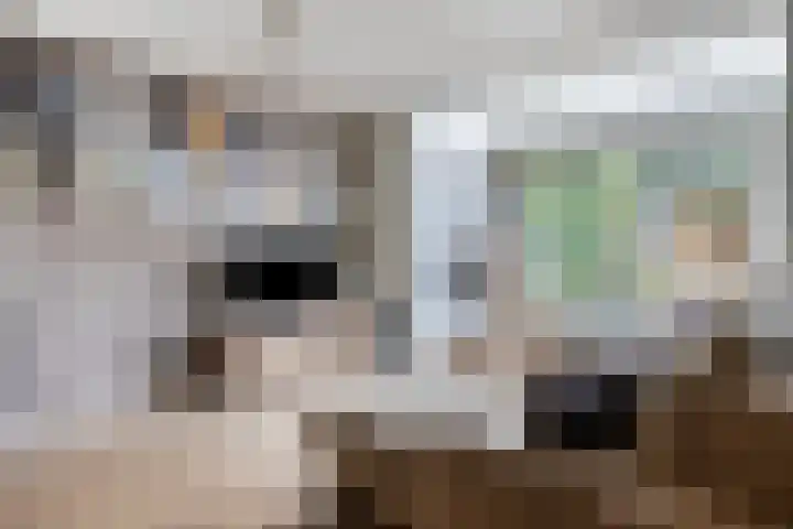 Schietbergen 72 Nuenen thumbnail 7