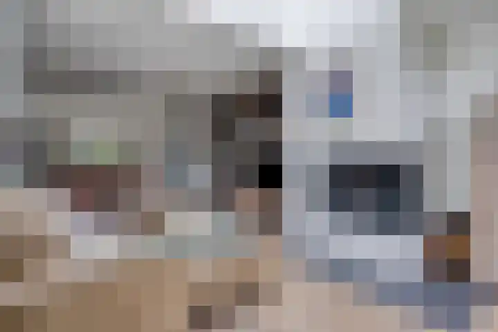 Schietbergen 72 Nuenen thumbnail 8