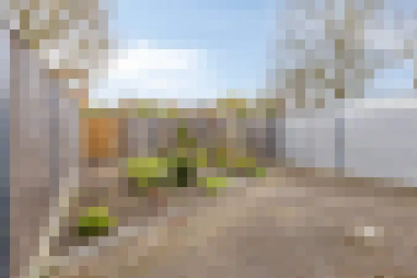 Schietbergen 77 Nuenen thumbnail 25